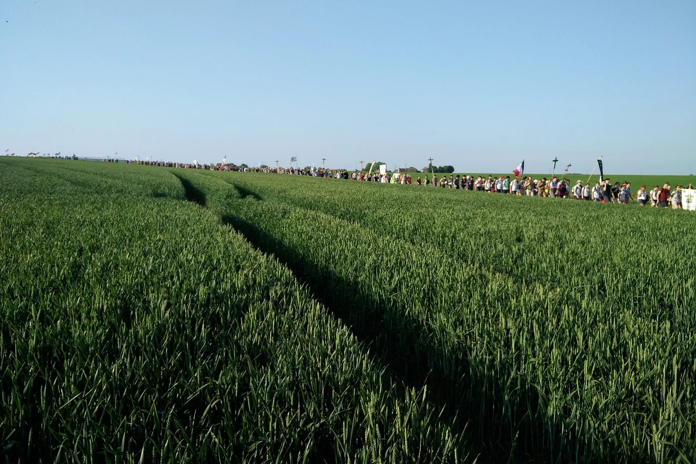 A coluna inteira serpenteando na linha do horizonte sobre um campo de trigo verde, com cruzes recortadas no céu.